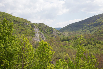 The Nera Gorge-Beușnița National Park is a protected area situated in Romania, in Caraş-Severin County.View of the rocky mountain and the forest in the spring.