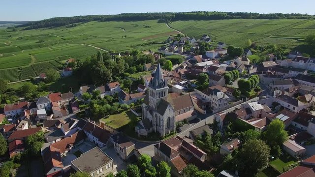 France, Champagne, regional park of Montagne de Reims, Aerial view of Ville Dommange