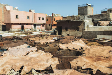 Traditional leather manufacture in Morocco. Animal abuse. Tourist landmark in Fes.
