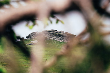 Petrovy Kameny - Hruby Jesenik, Moravia, Czech republic. National nature reservation. No entry on these rocks. Burning witches. Mysterious rocks lost in the fog. View through the twigs. mysterious.