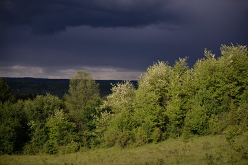 storm clouds in spring in the meadow near the forest with flowers