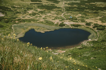 A sign on a grassy hill