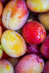 home grown fresh ripe plums