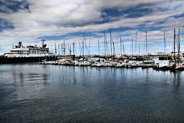 boats in the harbor