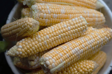 The peeled ears of corn.Rural  natural  organic farm.