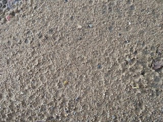 Real Sand Surface After Rain As A Natural Background, Selective focus,Designer Close-up
