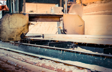 Sawmill. Process of machining logs in sawmill machine saws the tree trunk