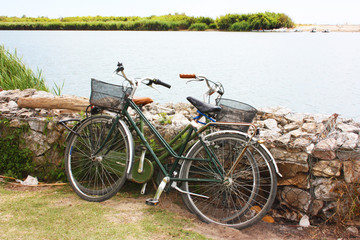Fototapeta premium two bicycles lying on a low wall on the river amidst the green nature that flows over the sea of ​​Pisa