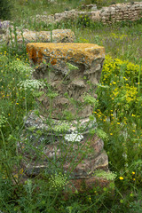 Thuburbo Majus Tunisia, capitals and pedestal among the wildflowers