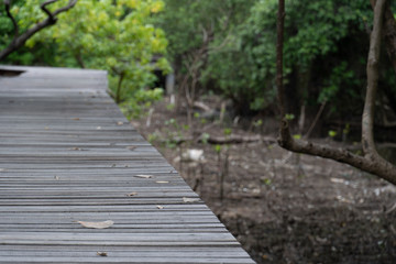 A long wooden walkway into a mangrove sanctuary. At Pak Nam Rayong Thailand.