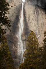 Fototapeta na wymiar Yosemite Falls in Yosemite Valley