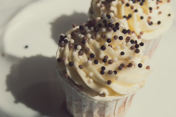 Appetizing cupcakes with white cream decorated with balls of confectionery brown powder