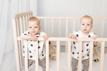 two baby twins brother and sister 8 months sit in their pajamas in the crib and look at the camera,...