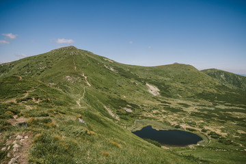 A close up of a lush green hillside
