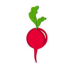 Beets on a white background. Illustration.