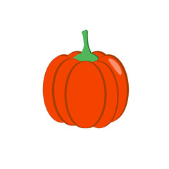 Orange pumpkin on a white background. Illustration.