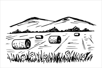 Classic European landscape, round bales of haystacks, straw in the field. Mountains on the horizon, grass and flowers in the foreground. Vector black and white freehand drawing in engraving style.