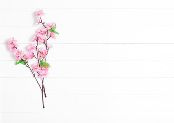 Blooming apple tree branch on a light wooden background