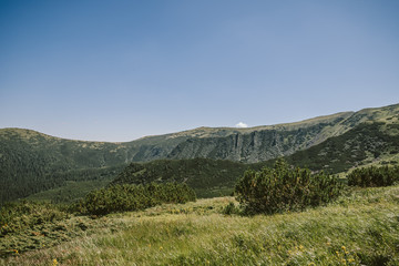 Obraz premium A sign on the side of a lush green field