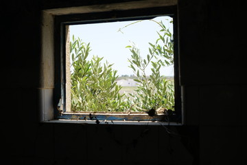 Abandoned place in summer photographed with natural light