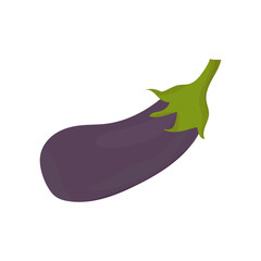 Ripe eggplant on a white background. Isolated element