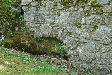 Obraz premium Abandoned place in summer photographed with natural light