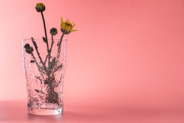 Flowers in a glass vase on the pink background