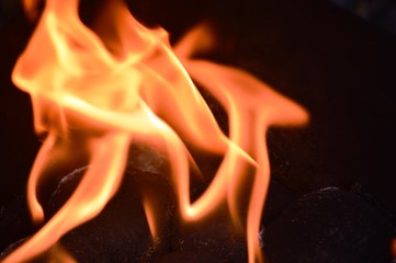 fire in the dark