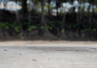 The wooden floor in the background is a blurry tree.