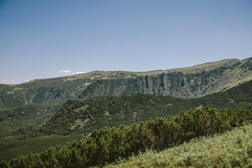 Naklejka premium A sign on the side of a mountain