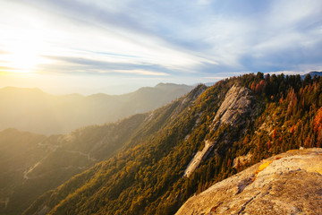 Sequoia National Park in California USA