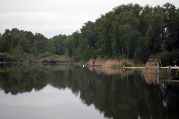 reflection of trees in water