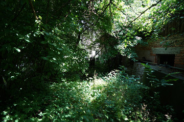 Abandoned place in summer photographed with natural light