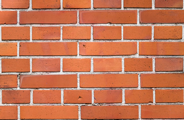 Obraz premium Brick Wall