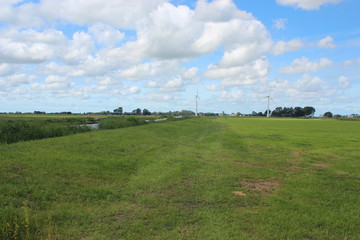 Fototapeta premium Beautiful blue sky over a Dutch meadow with forest edge.
