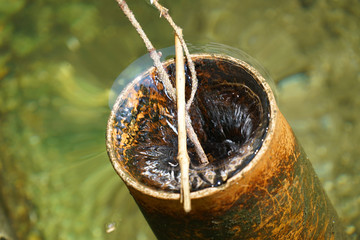 Drain pipe through which apparently clean water flows