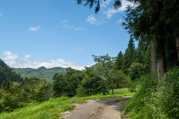 田舎の山道の風景