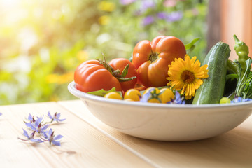 Urban gardening: Fresh cultivated vegetables grown up in the own garden. Tomatoes, zucchini and herbs