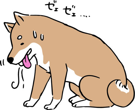 フィラリア 犬糸状虫 に寄生され息切れしている柴犬の線画イラスト Stock Vector Adobe Stock