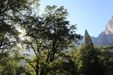 Views of Yosemite National Park 
