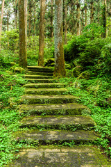 The forest stone stairs path passes through the forest in Zhushan Nantou, Taiwan.