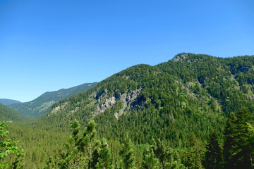 Fototapeta na wymiar mounatian scenery in the bavarian alps, close to halserspitz, wildbad kreuth, tegernsee, bavaria
