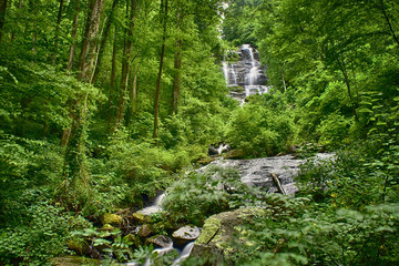 Waterfall in lush green forest