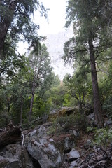 Fototapeta na wymiar Views of Yosemite National Park 