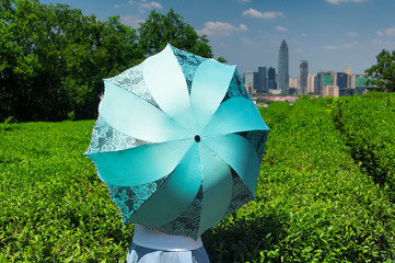 A chinese woman holding an umbrella standing near a green tea field within the Dong Hu, East Lake, scenic area with the city of Shaoxing China in the background in Zhejiang province.