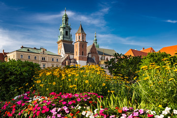 Katedra Wawelska. Wzgórze Wawelskie. Wawel. Kwiaty
 - obrazy, fototapety, plakaty