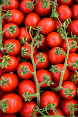 Sweet ripe red Italian cherry tomatoes in box on farmers market