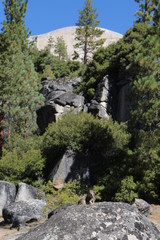 Views of Yosemite National Park while hiking to Half Dome