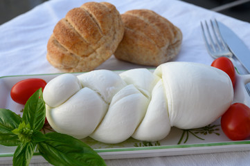 Fresh soft white italian cheese braid mozzarella buffalo made from Italian buffalo's milk by pasta filata method