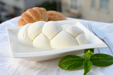 Fresh soft white italian cheese braid mozzarella buffalo made from Italian buffalo's milk by pasta filata method